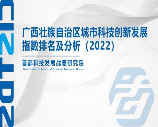 透板鸡视频网站在线观看网址免费【成果发布】广西壮族自治区城市科技创新发展指数排名及分析（2022）